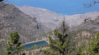2022-03-GranCan-Mirador_Sargento-Trekking-PM-NN-52.JPG